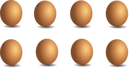 egg chicken eggs food