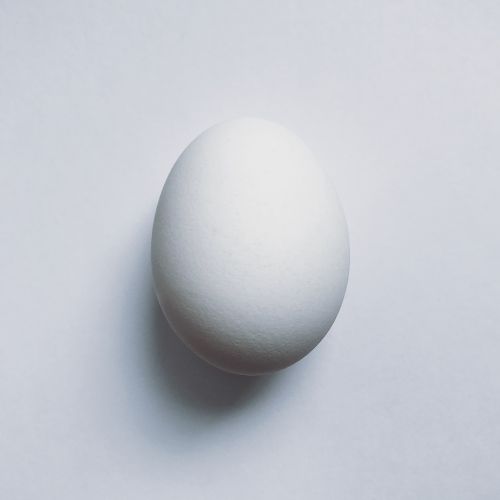 egg food protein