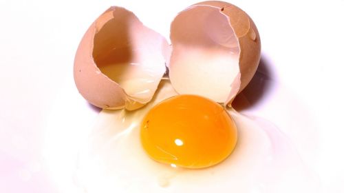 egg eggs food