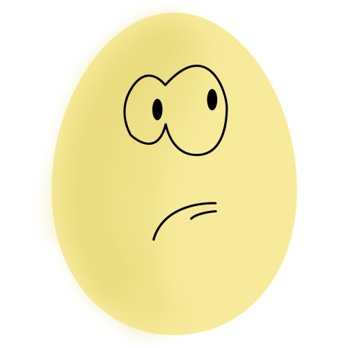 egg eggs egg yellow