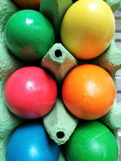 egg colorful easter