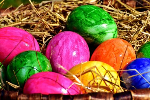 egg colored colorful
