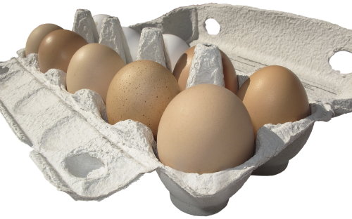 egg hen's egg egg carton