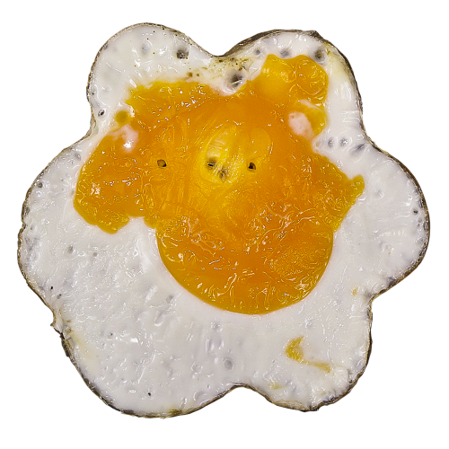 egg fried yolk