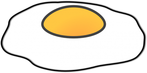 egg fried isolated