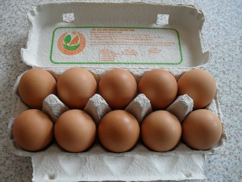egg egg carton protein