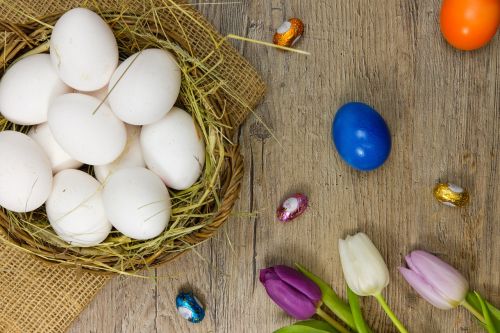 egg easter eggs colorful eggs