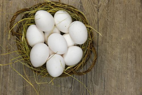 egg answer questions per day basket