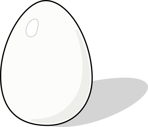 egg poultry protein