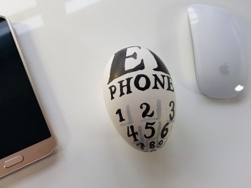 egg humor i-phone