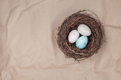 egg easter easter nest