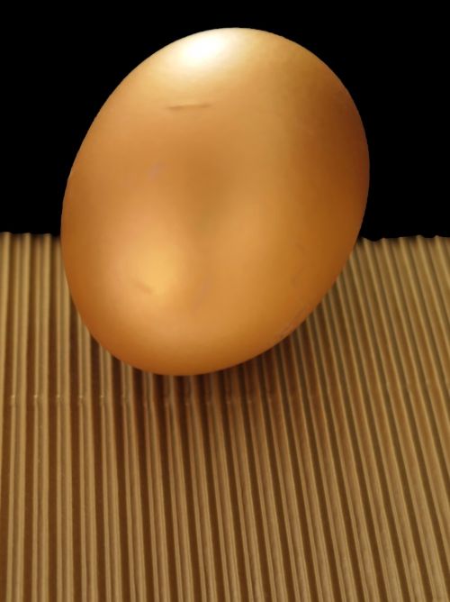 egg easter egg protein