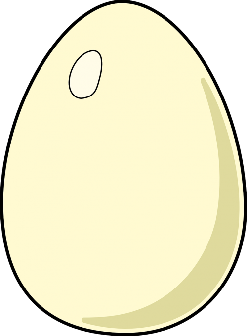 egg poultry raw