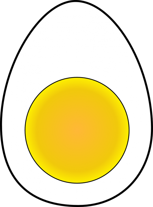 egg boiled yolk