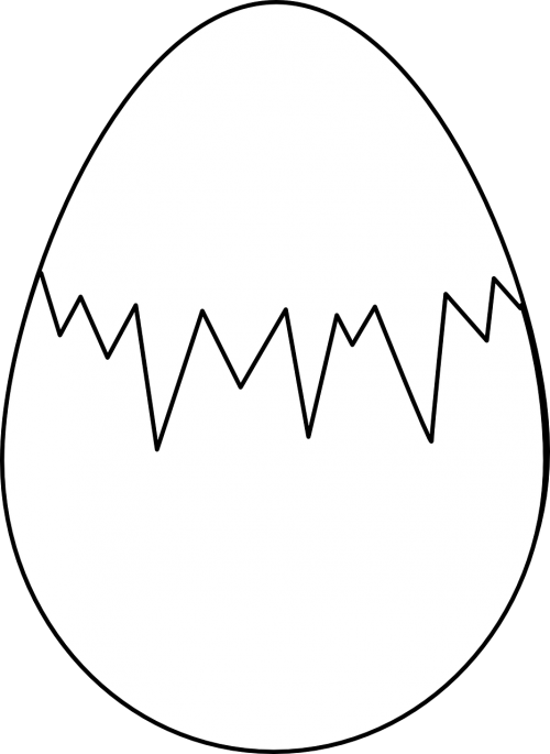 egg broken shell