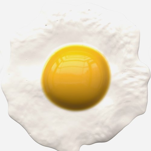 egg  fried  food