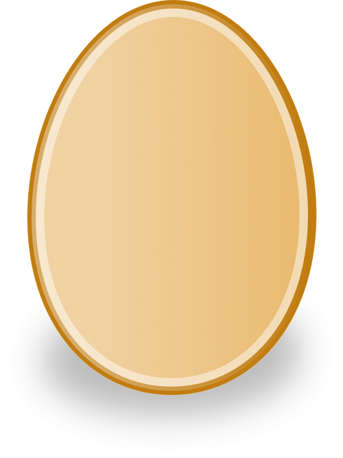 egg poultry chicken