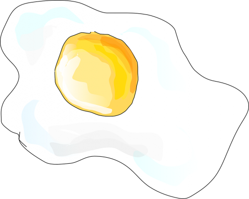 egg fried yolk