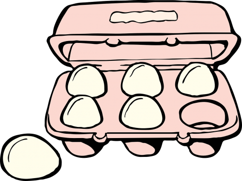 egg carton food