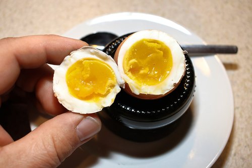 egg  yolk  protein