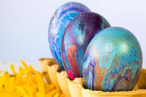 egg  colorful  easter eggs