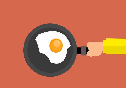 egg  omelet  protein