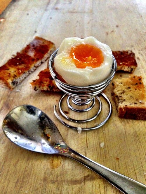egg breakfast eat