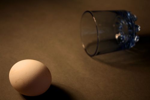 egg glass still life