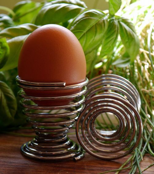 egg holder eggcup