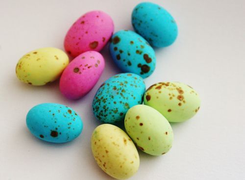 egg sweetness colorful
