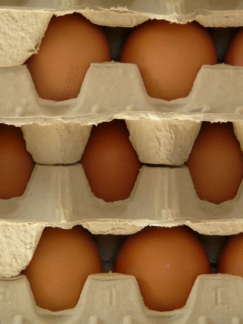egg egg box food