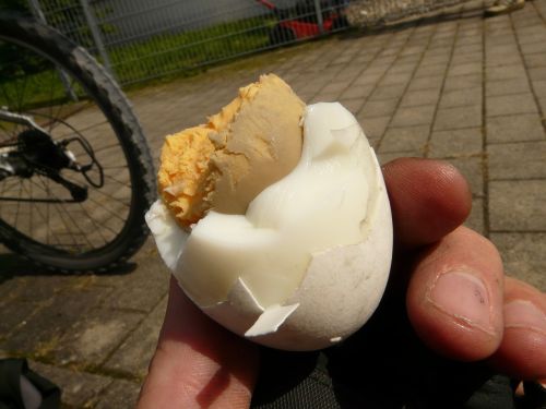egg eggshell bitten