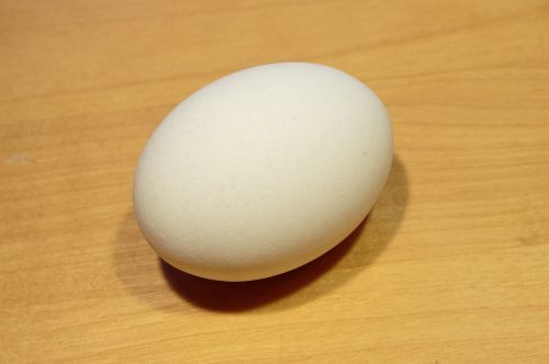 egg white wooden