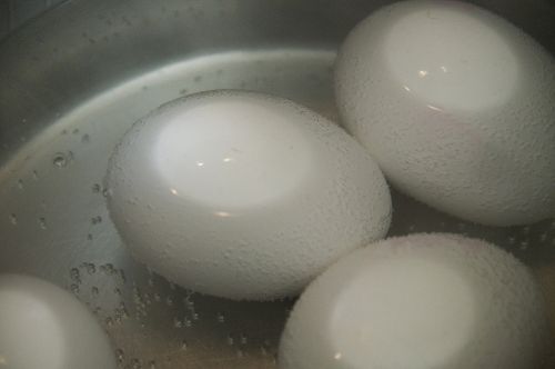 egg brown eggs pot