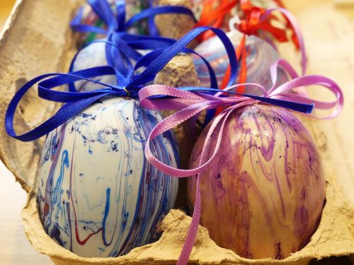 egg carton colorful eggs colorful