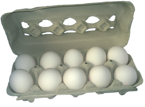 egg carton egg food