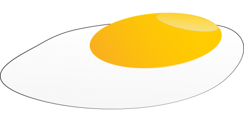 egg yolk fried egg egg