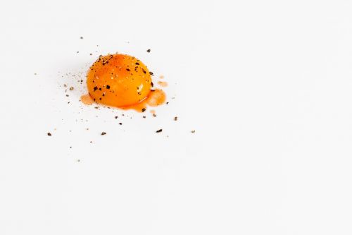 egg yolk protein nutrition