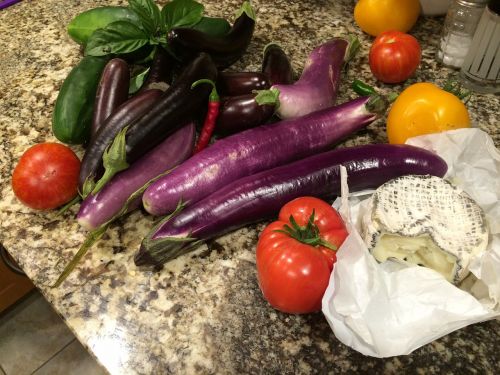 eggplant summer harvest