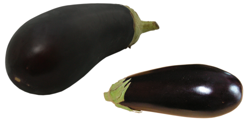 eggplant fruit a vegetable