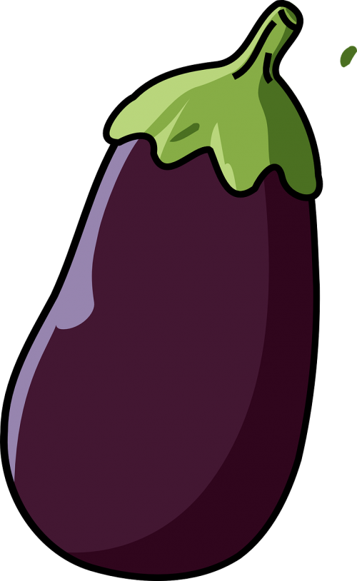 eggplant food vegetable