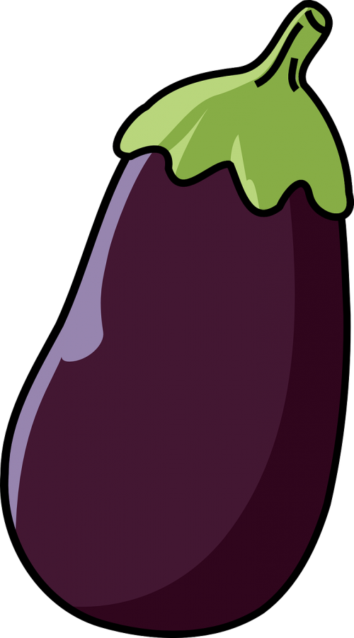 eggplant drawing purple