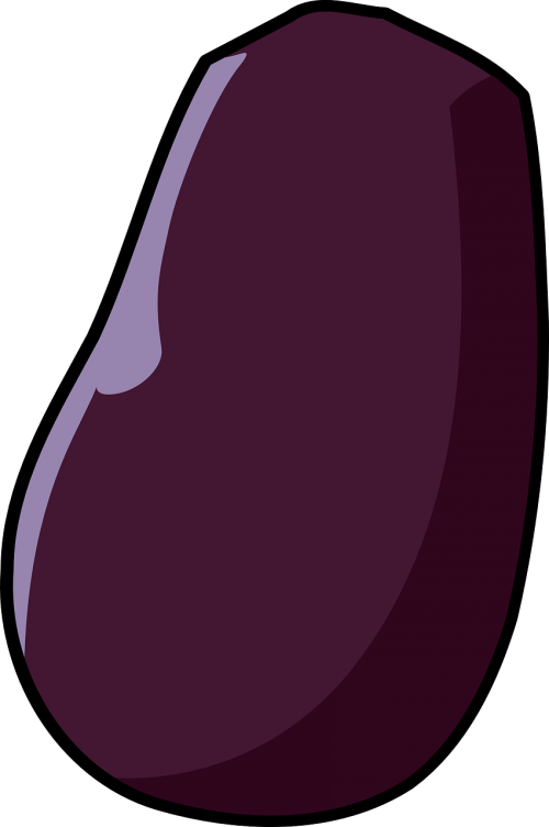 eggplant brinjal vegetable