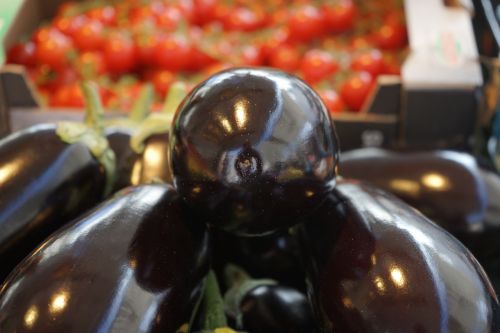 eggplant vegetables solanum melongena