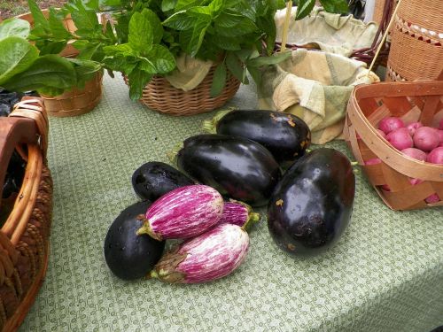 eggplant vegetables organic