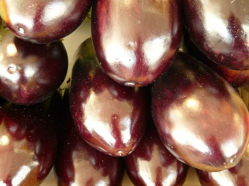 eggplant nachtschattengewächs violet