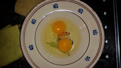 eggs egg yolks egg whites
