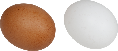 eggs white brown