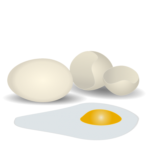eggs breakfast food