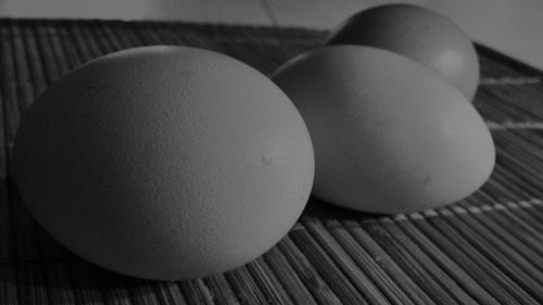 eggs black and white hens